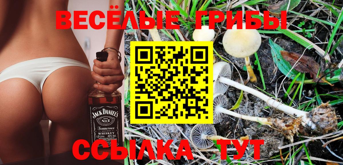 Псилоцибиновые грибы ЛСД  Галлюциногенные грибы Cubensis  Владимир  Вход с VPN 